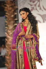 Model walks the ramp for Vikram Phadnis at Aamby Valley India Bridal Week day 4 on 1st Nov 2010 (25).JPG